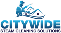 citywidesteamcleaningsolutions.co.uk